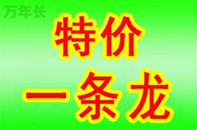 重庆市南川区公墓有哪些优惠政策？